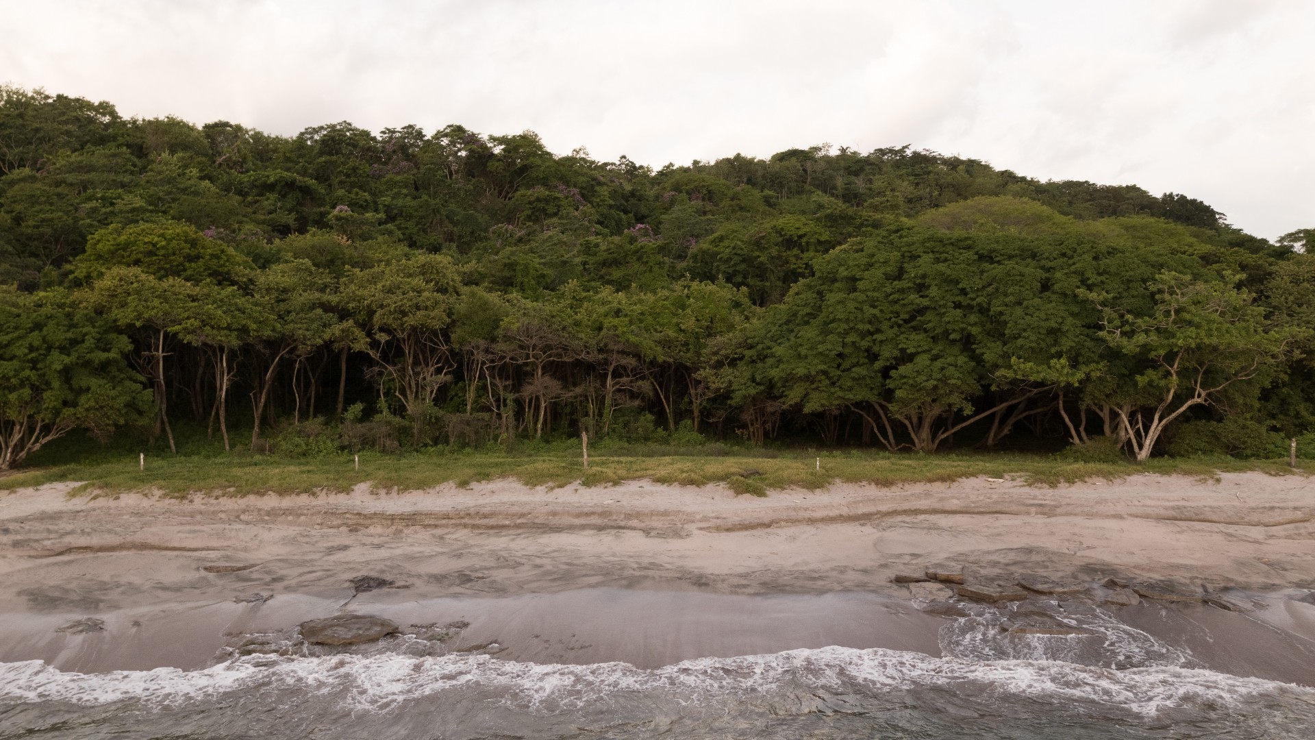 Punta Sabana & Mar Serena - Playa Minas, Costa Rica