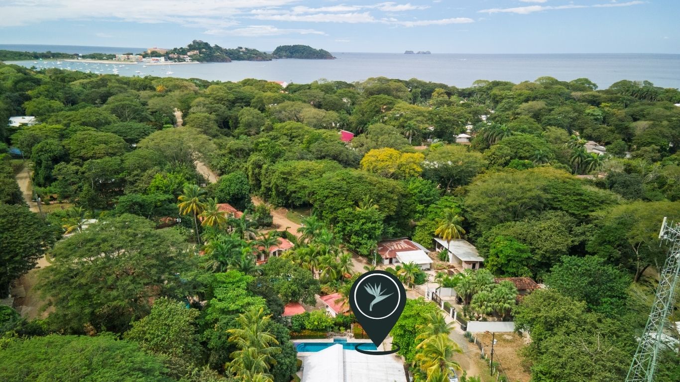 Almond Tree Surfside Potrero investment property shown from above, surrounded by tropical canopy near the coast