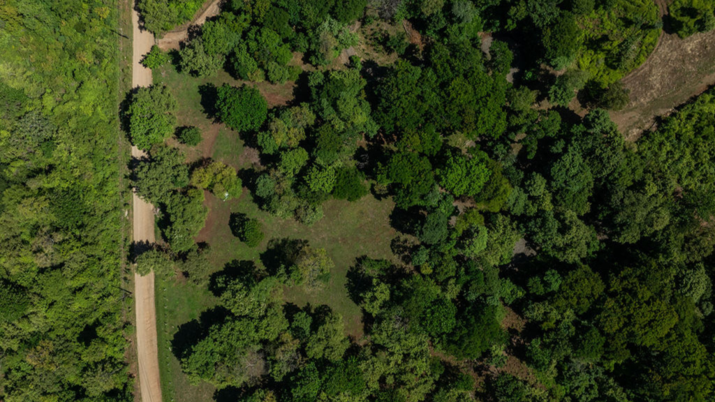 Aerial view of forested land within Potrero Hills, showing preserved canopy in a new residential development in Potrero Costa Rica