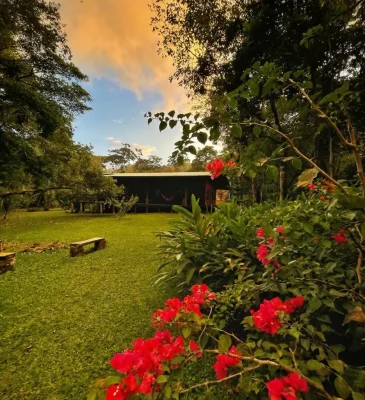 Grassy clearing with forest pavilion, hammock, and tropical flowers at Sabalito Forest Retreat near Lake Arenal, Costa Rica