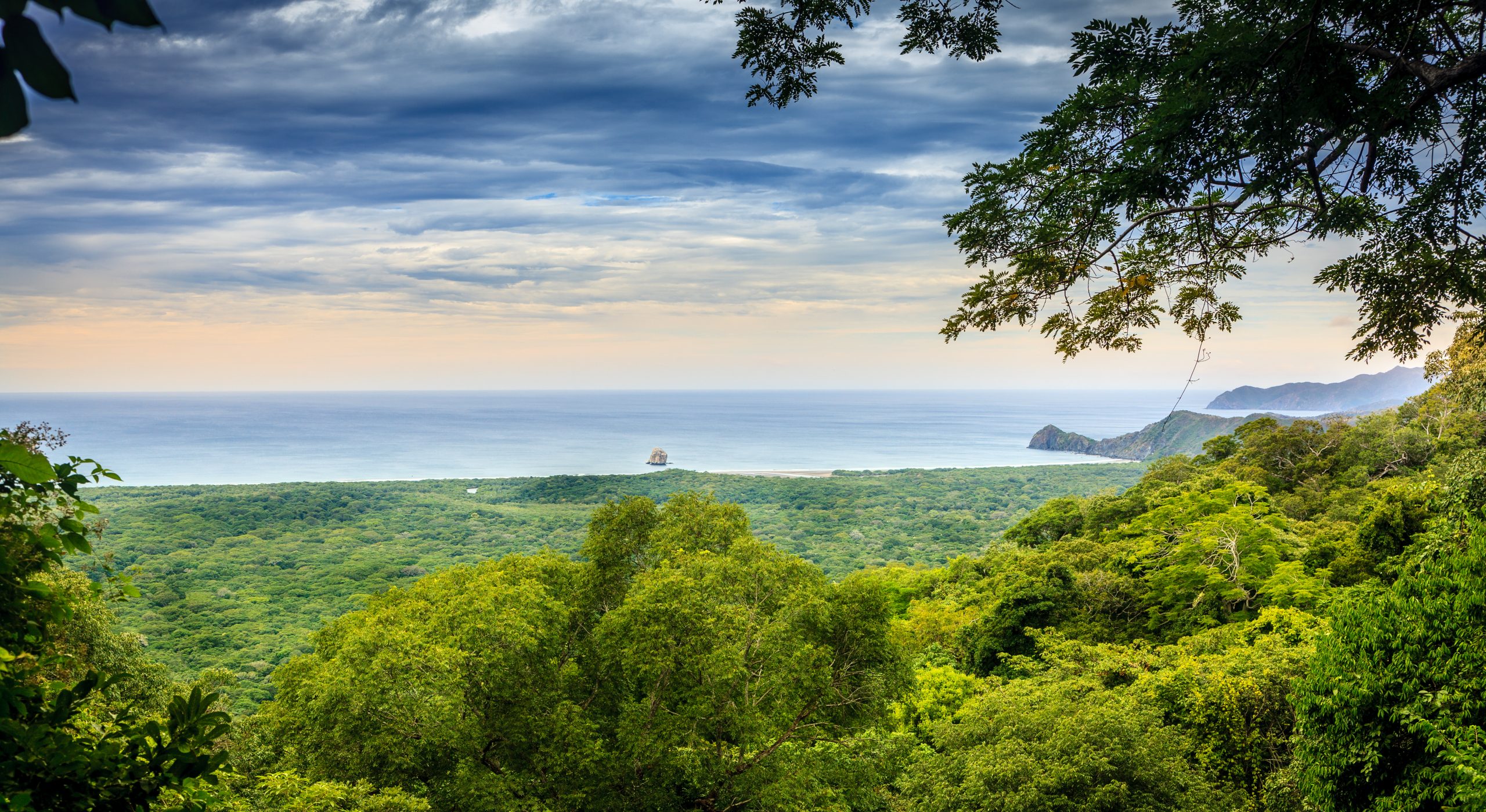 Tropical coastal landscape reflecting living in Santa Rosa Costa Rica