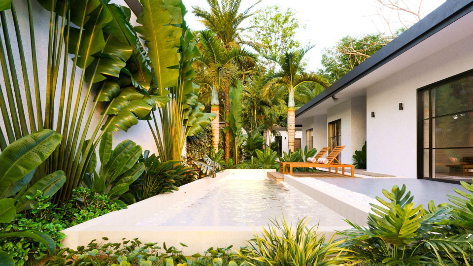 Private swimming pool surrounded by tropical landscaping at Casa Nalú, a 3 bedroom modern home in Playa Grande Costa Rica.