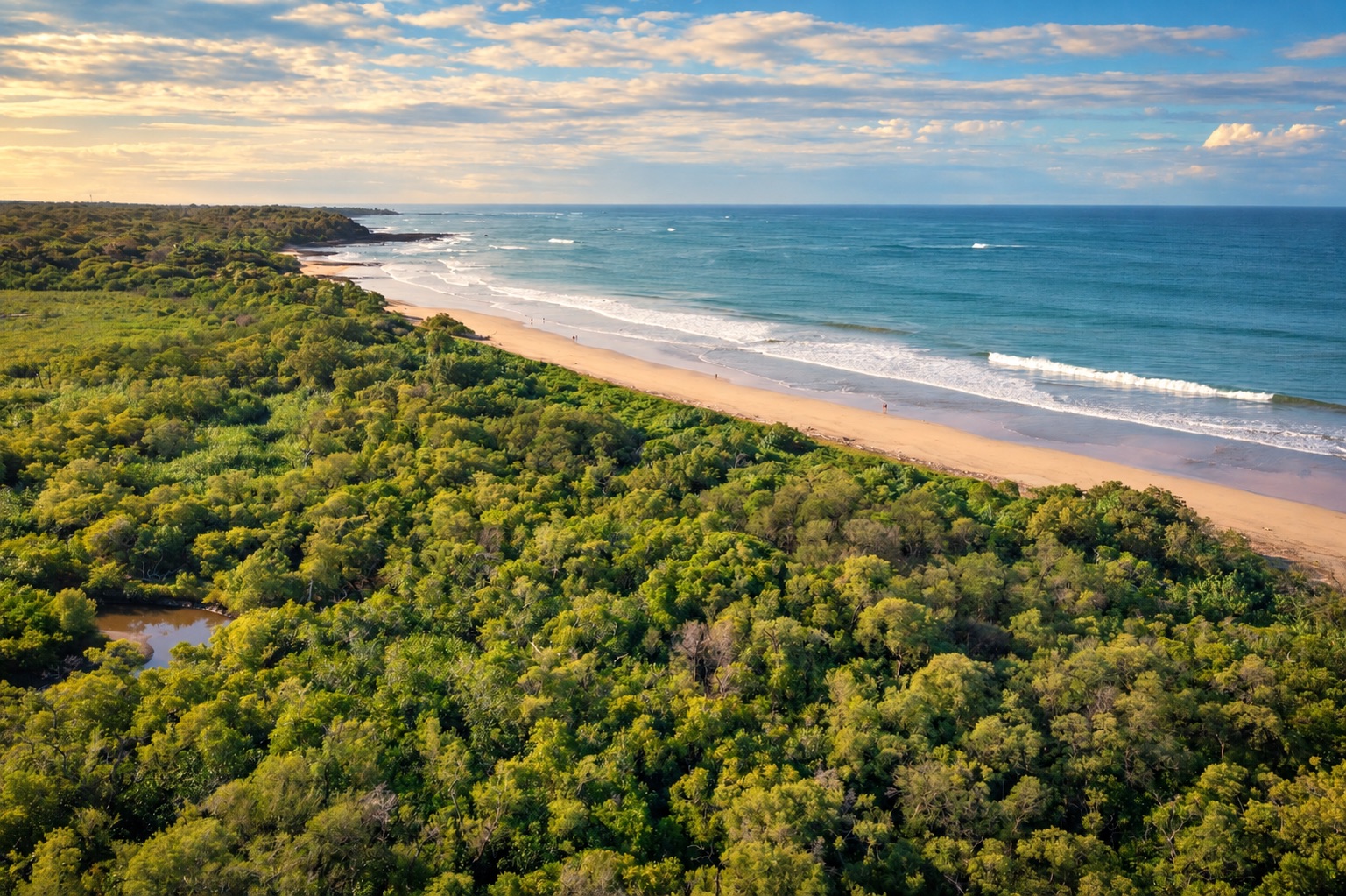 Aerial view of an undeveloped beach and mangrove forest along the Guanacaste, Costa Rica coastline